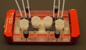TissUse’s two-organ chip